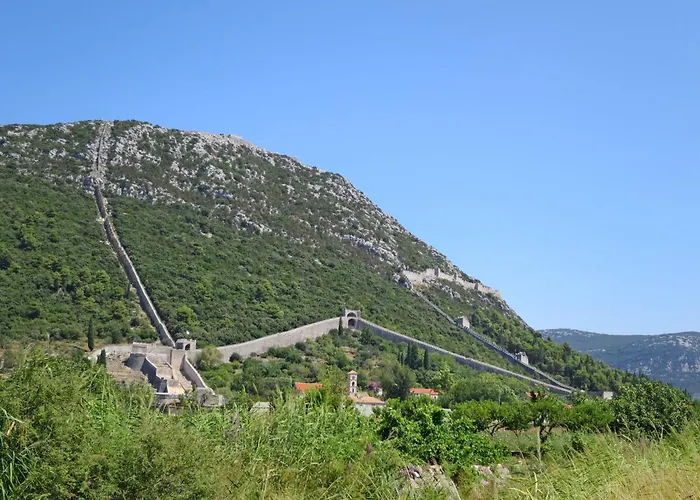 Ivana Mitten Im Blumengarten By Interhome Apartment