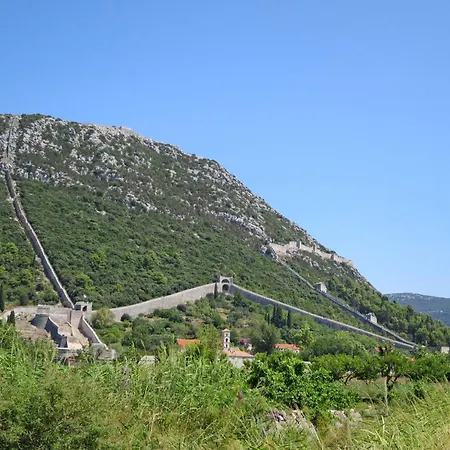 Ivana Mitten Im Blumengarten By Interhome Daire