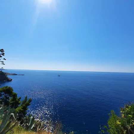 Daire Ivana Mitten Im Blumengarten By Interhome